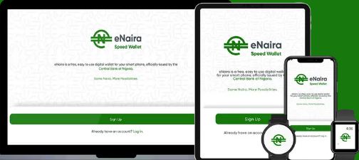eNaira Wallet in Nigeria